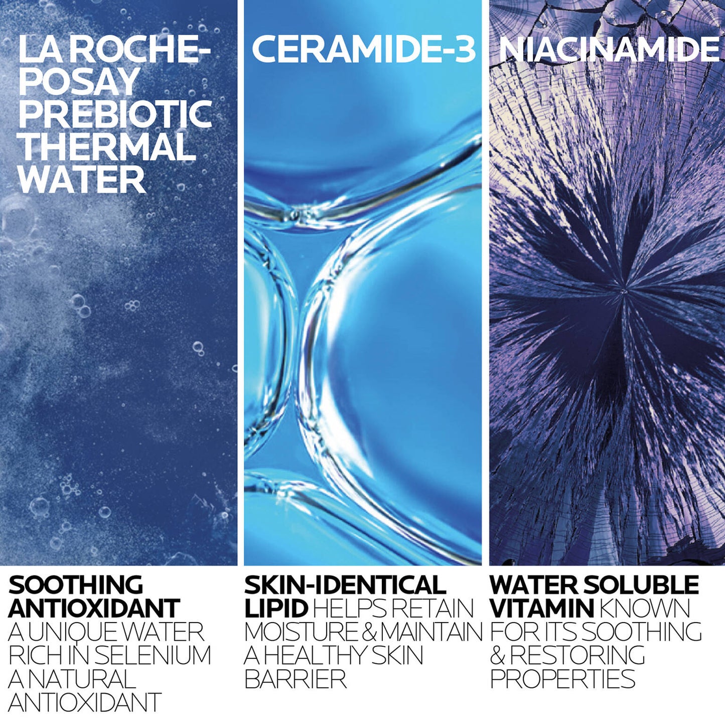 toleriane-hydrating-gentle-cleanser-and-double-repair-face-moisturizer-spf-30-set-r6 02_La-Roche-Posay_TolerianeHydrating Cleanser_refill_ingredient_1500x1500.jpg
