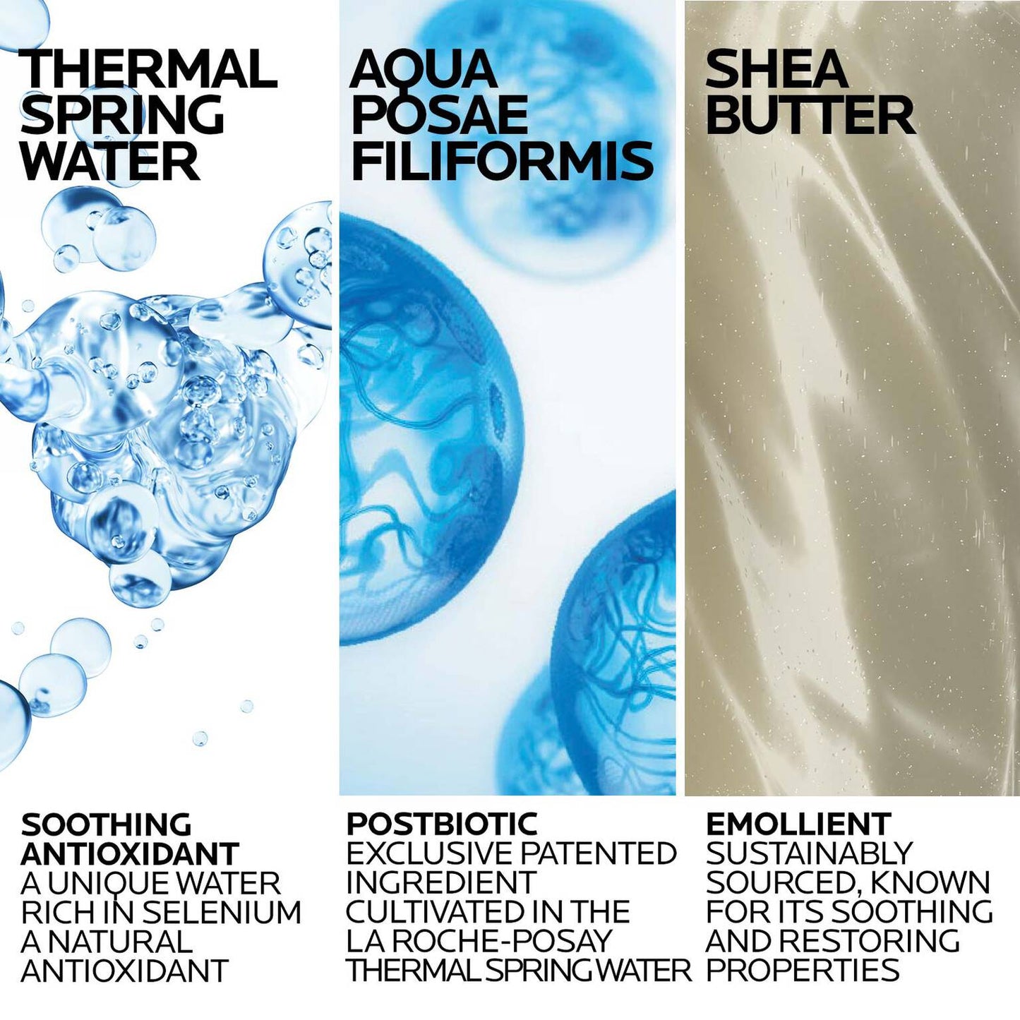 lipikar-wash-ap-moisturizing-body-and-face-wash-i9 Lipikar-Wash-ingredients_1500x1500-REV.jpg